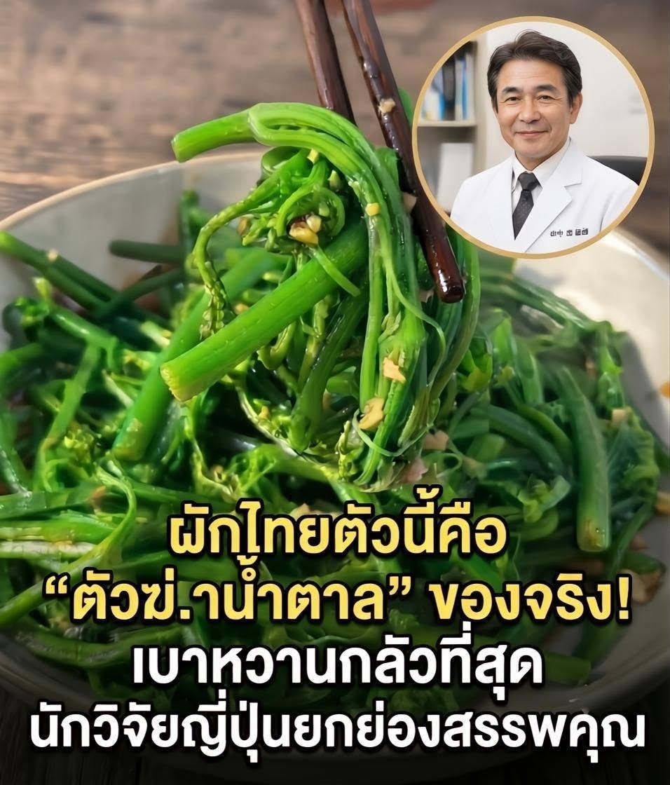 ผักไทยตัวนี้คือ “ตัวฆ่.าน้ำตาล” ของจริง! เบาหวานกลัวที่สุด นักวิจัยญี่ปุ่นยกย่องสรรพคุณ