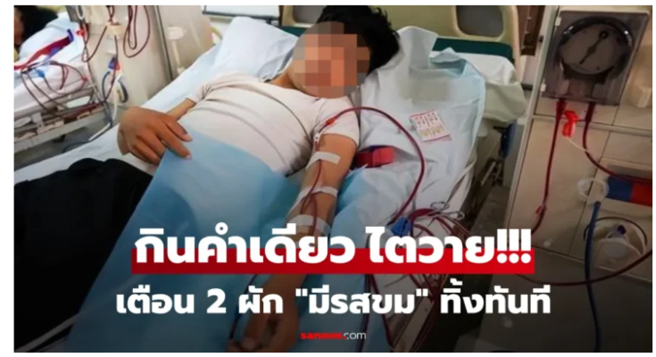 แพทย์เตือน! ผักที่มี “รสขม” 2 ชนิดนี้ ต้องทิ้งทันที แพทย์เตือน! ผักที่มี “รสขม” 2 ชนิดนี้ ต้องทิ้งทันที